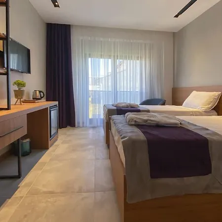 ホテル Es Termal Otel&spa 3*